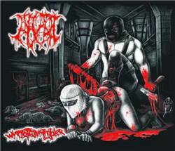 Alert : White Trimming Idler